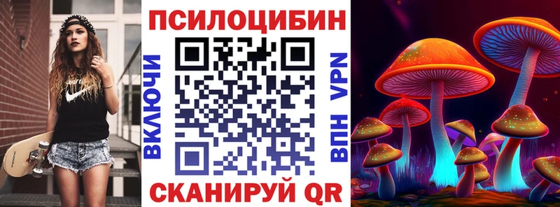 Купить где  Облучье  Псилоцибиновые грибы MAGIC MUSHROOMS 
